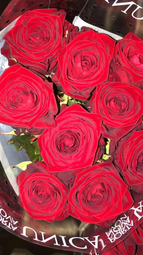 Rote Rose "Red Naomi"
